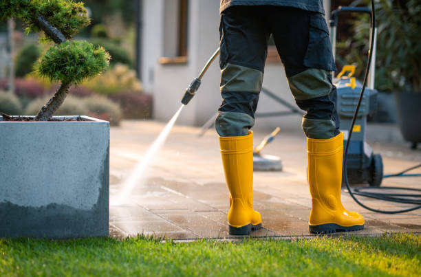 Best Commercial Building Pressure Washing  in Doney Park, AZ